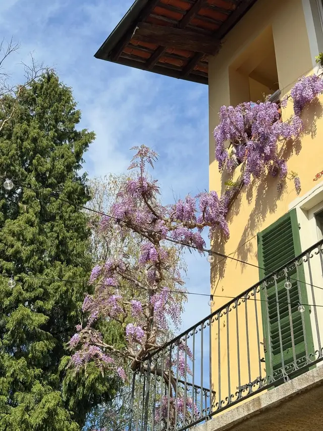 I primi segni di primavera 💕✨