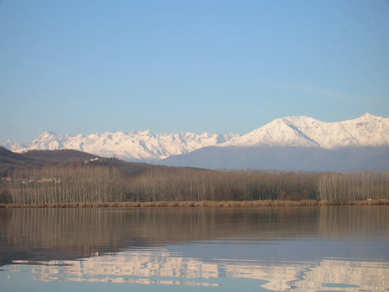 Il Lago di Candia d’inverno, con le Alpi innevate che si specchiano nell’acqua dietro il canneto e il bosco