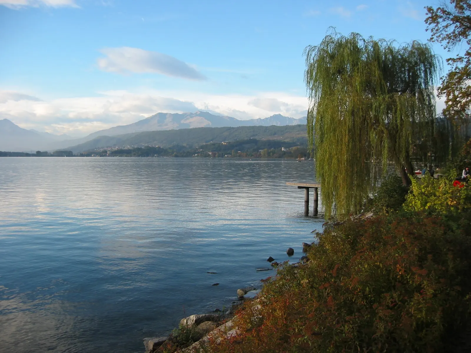 La riva del Lago di Viverone con un salice e un pontile, e le montagne sullo sfondo